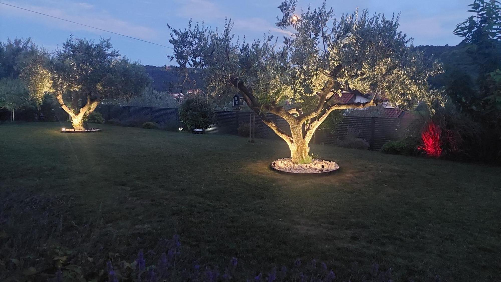 Istrian Lux Residence Копер Екстер'єр фото