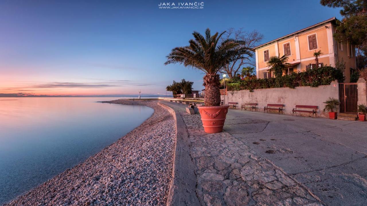 Istrian Lux Residence Копер Екстер'єр фото