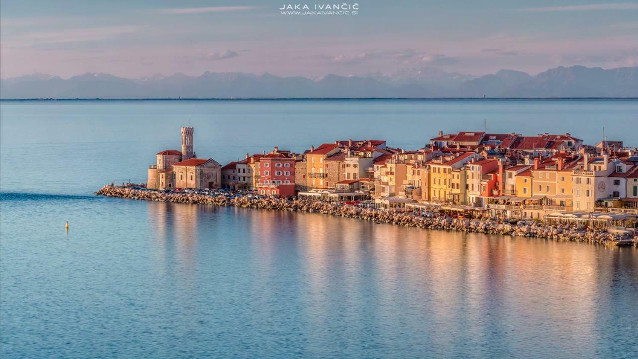 Istrian Lux Residence Копер Екстер'єр фото